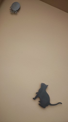 ねこ