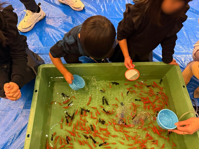 50周年祝賀祭の様子(金魚すくい)